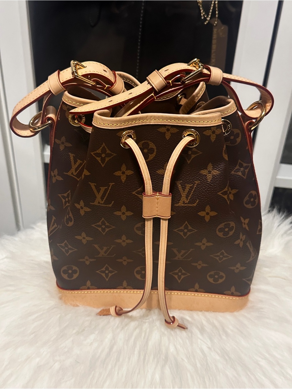 Louis Vuitton Noé BB